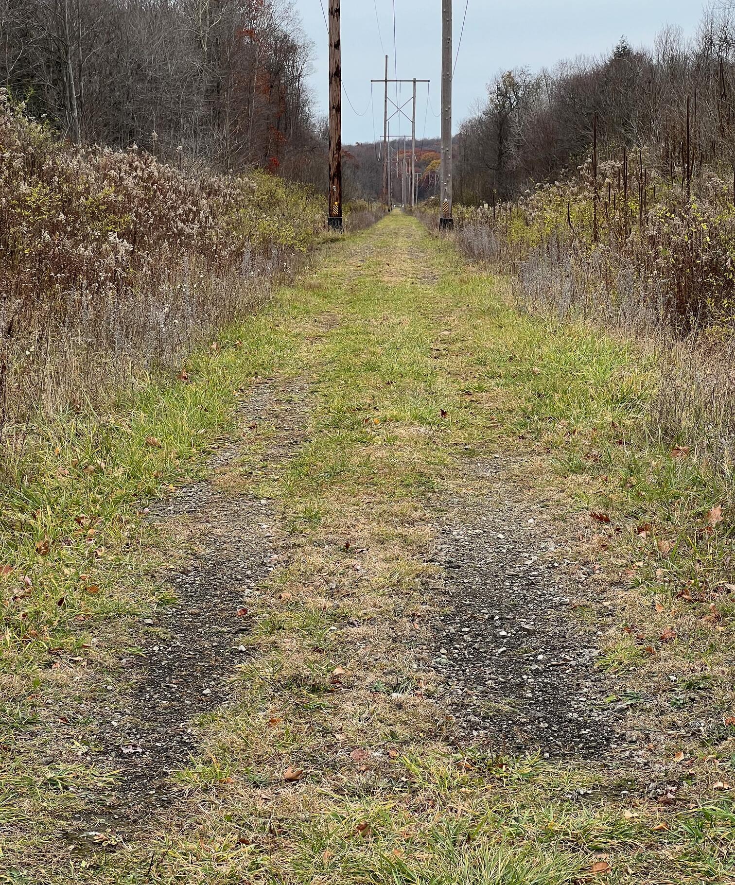 trail surface