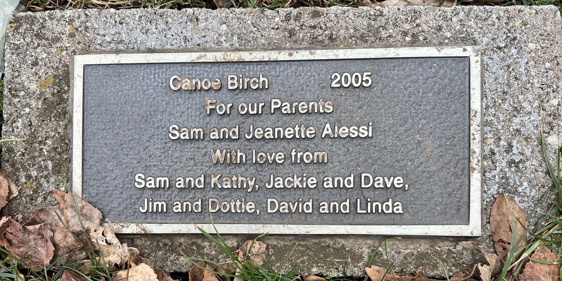 canoe birch memorial
