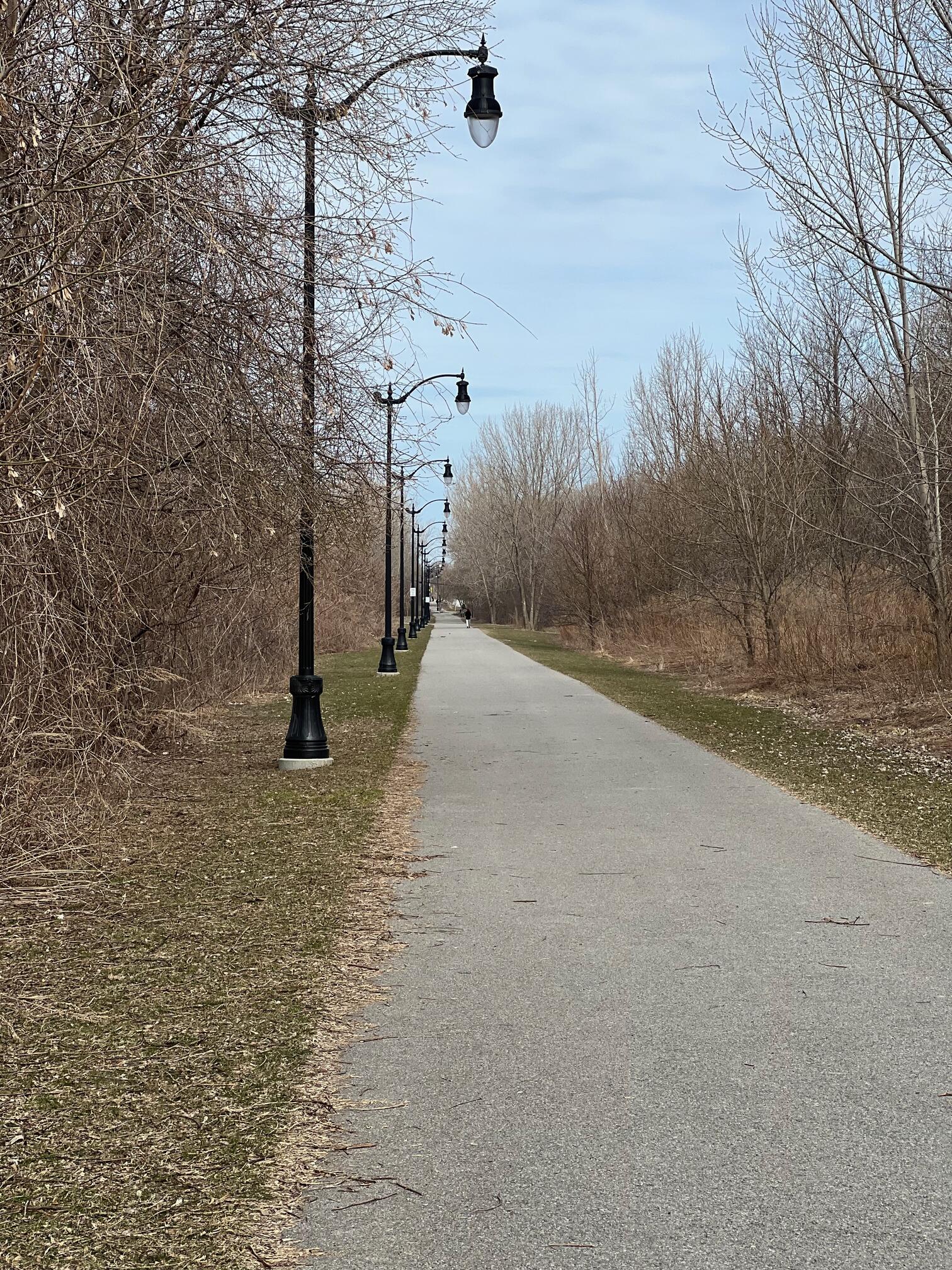 lampposts along the trail