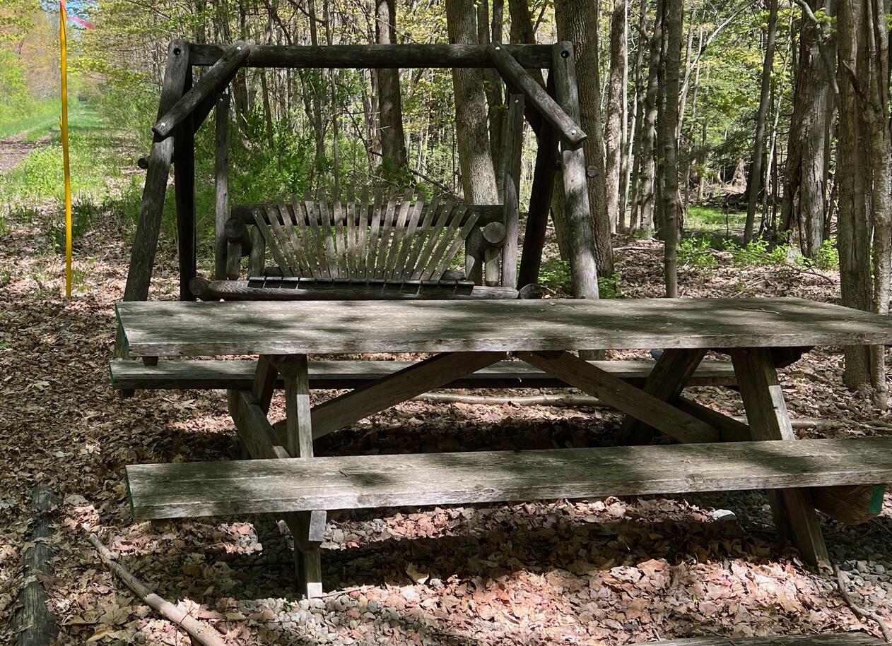 Picnic table and swing